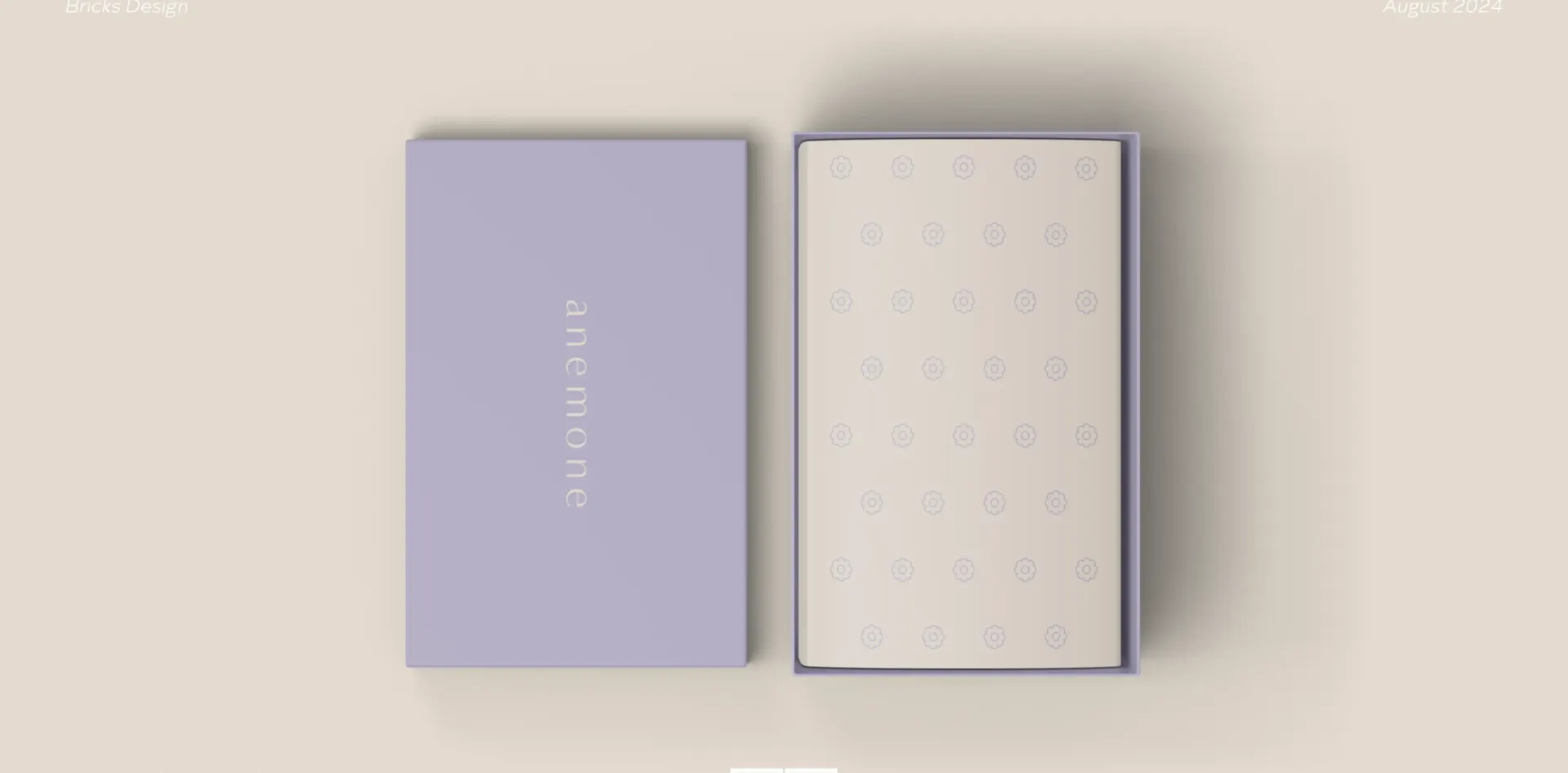 Anemone shoe box and patterned tissue viewed from above