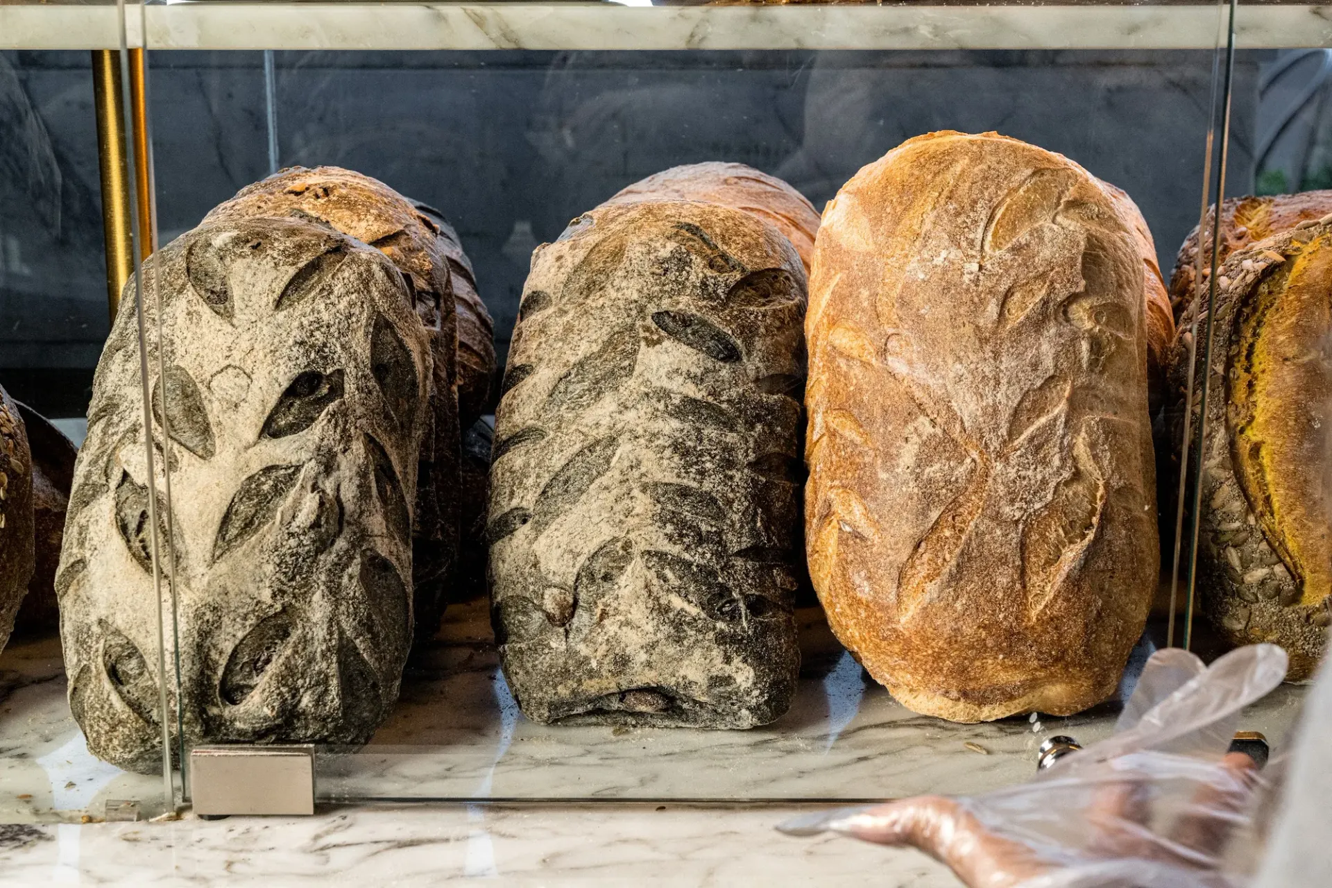 Sourdough loaves lined up on the bakery counter at Madison & Heig.