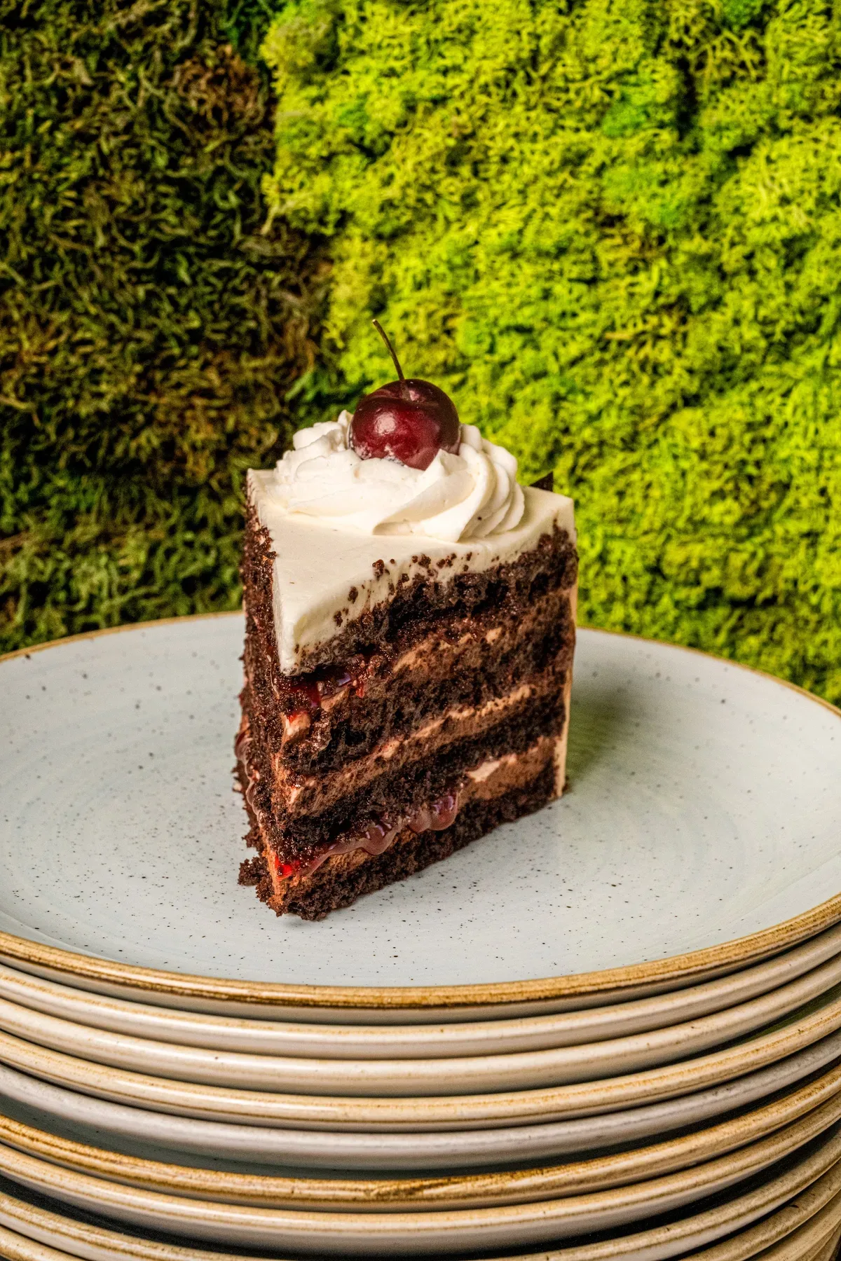 A slice of chocolate layer cake on a stack of plates against a moss wall.