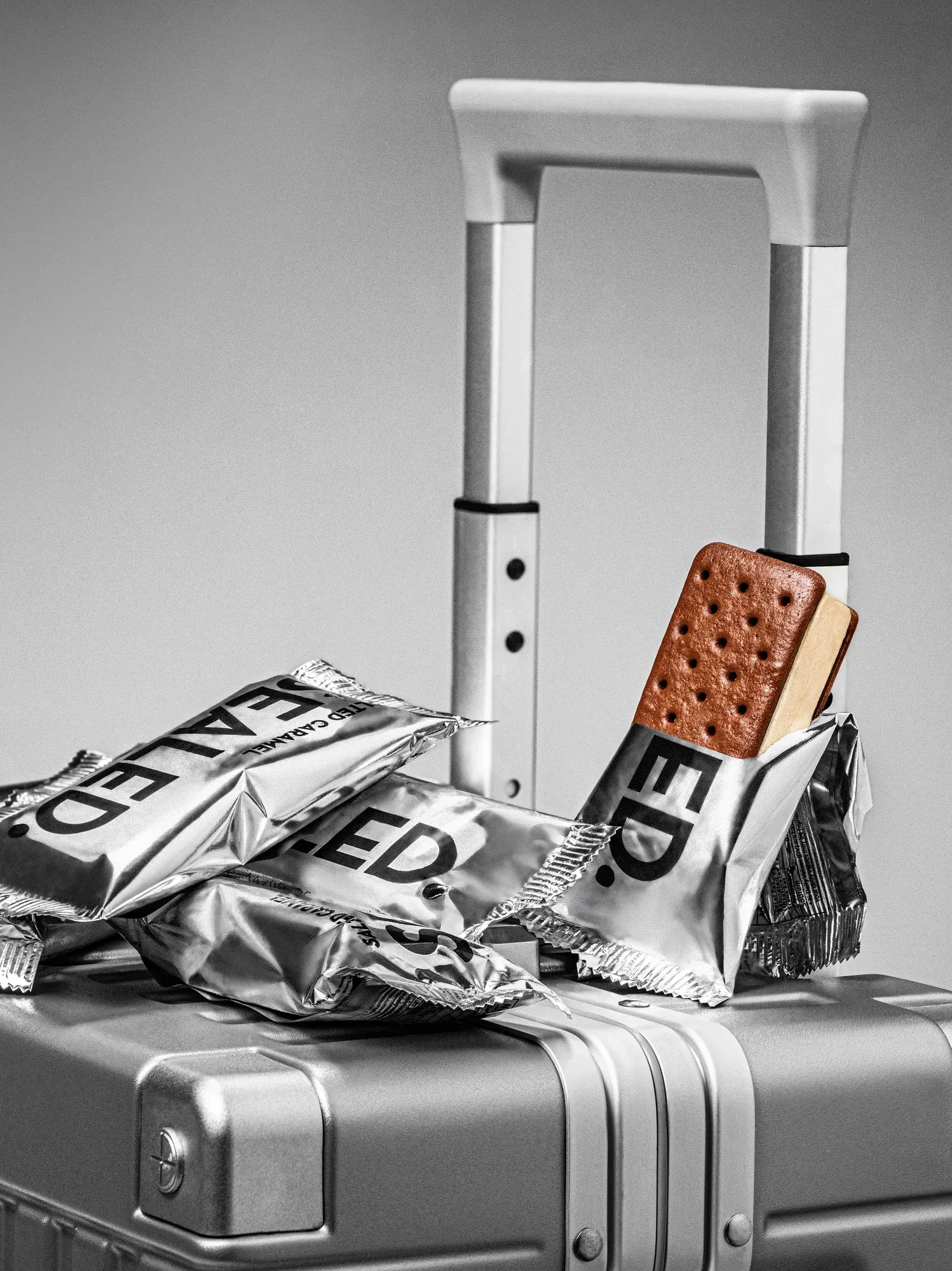 The sandwich on the suitcase, wrappers and all.