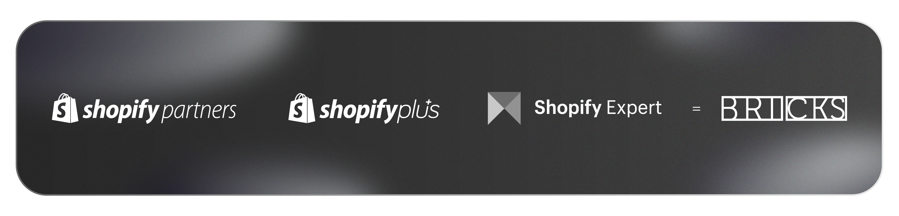 bricks-customize-shopify-app-development